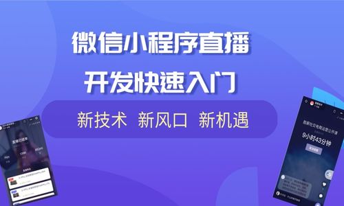 微信小程序直播開(kāi)發(fā)快速入門(mén) 7 小程序主播端使用及認(rèn)證 朱學(xué)超的在線(xiàn)視頻教程